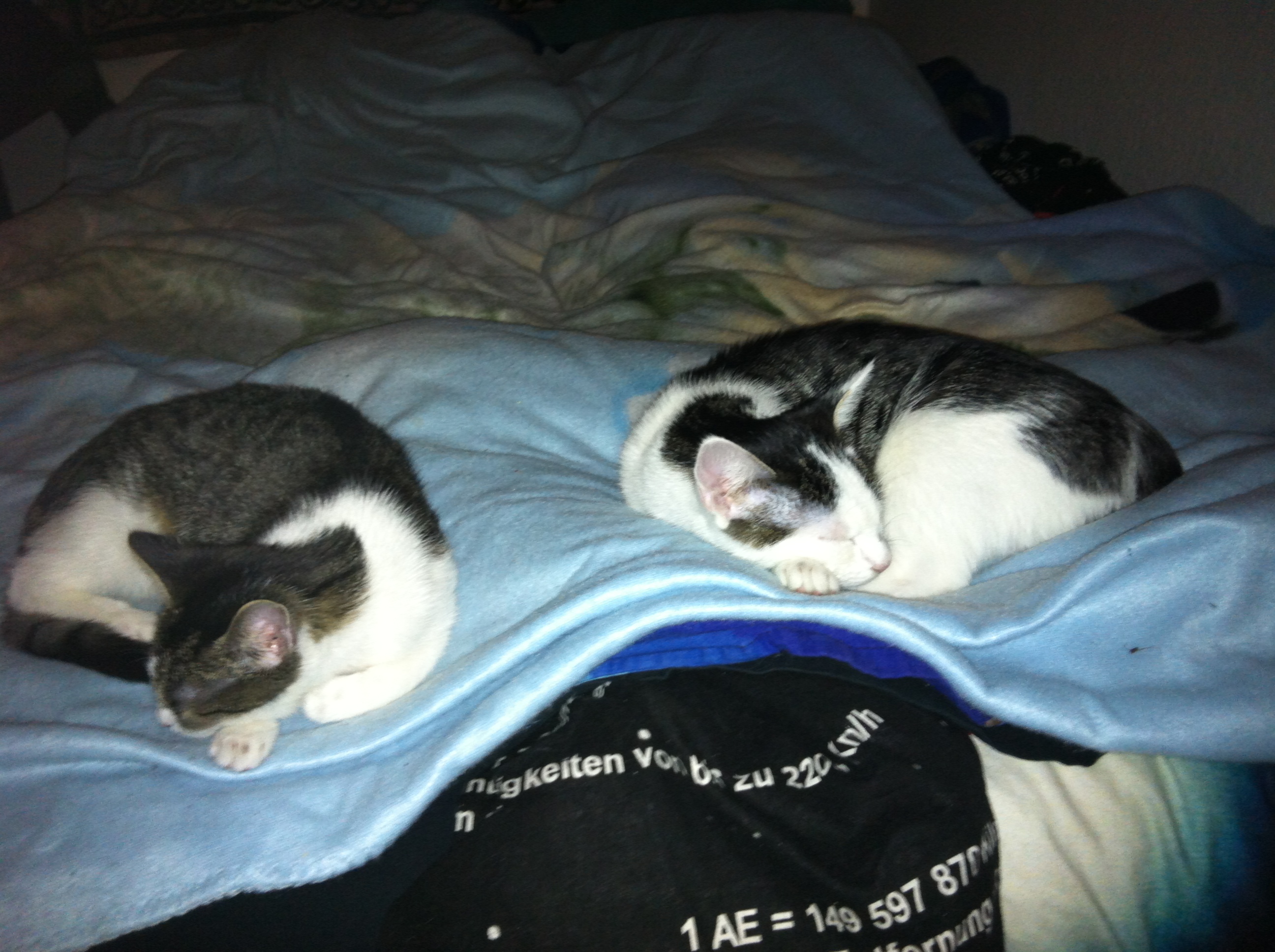 Oktober 2012... 6 Monate alt.