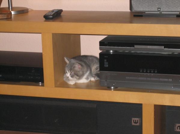 Orte, die man besser umgehen sollte