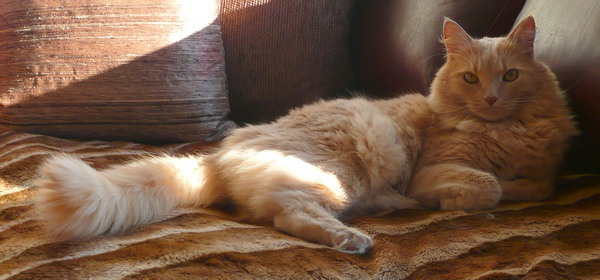 P1020678
Bin ich nicht wunderschön???