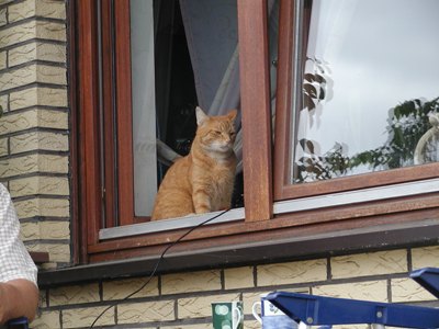 P9120002

Felix geb. okt.06