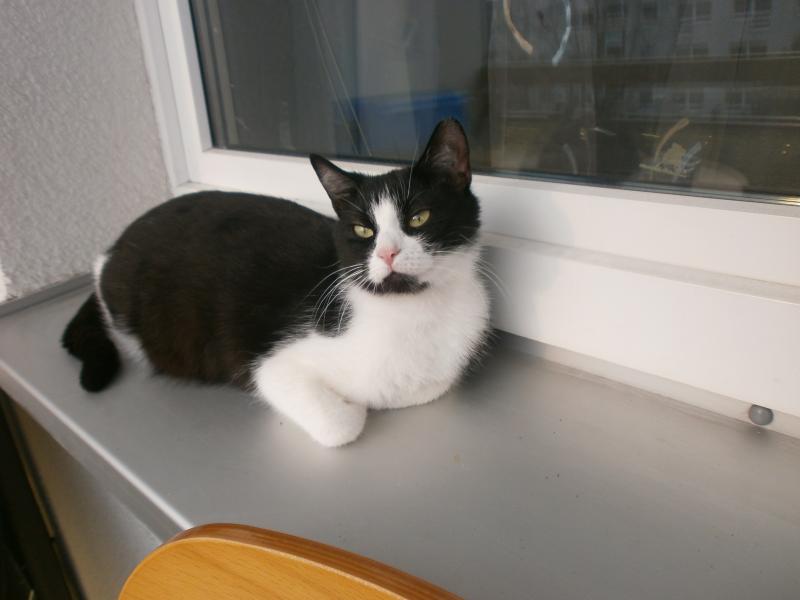 Päuschen auf dem Balkon