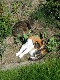 Päuschen vom 19ten Geburtstagstrubel ;-)