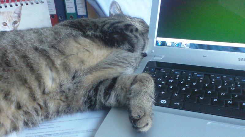 PC-Arbeiten können soooo langweilig sein