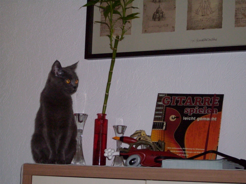 Peaches 007 (800x600)