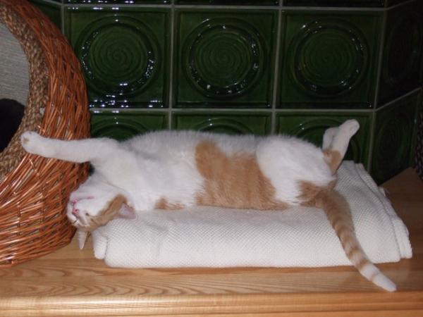 Pelle auf der Uffabänk