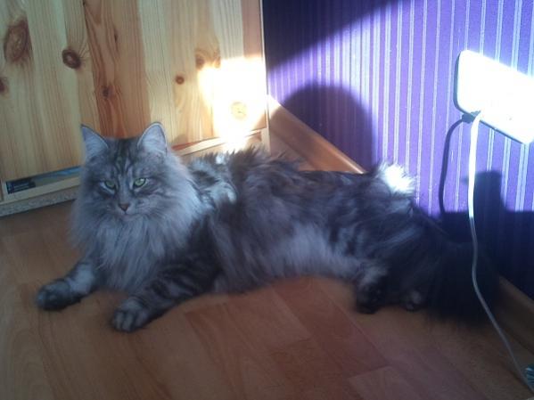 Pepper in voller Pracht