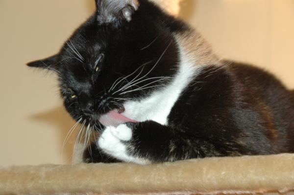 Pflege ist wichtig;)