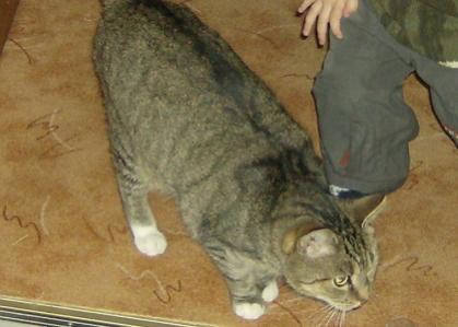 Pia schaut sich um...