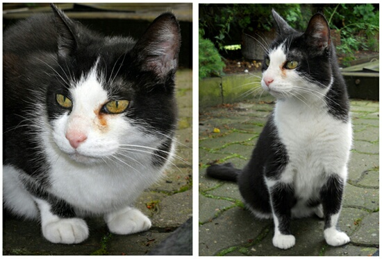 pic9302 20160211201630072