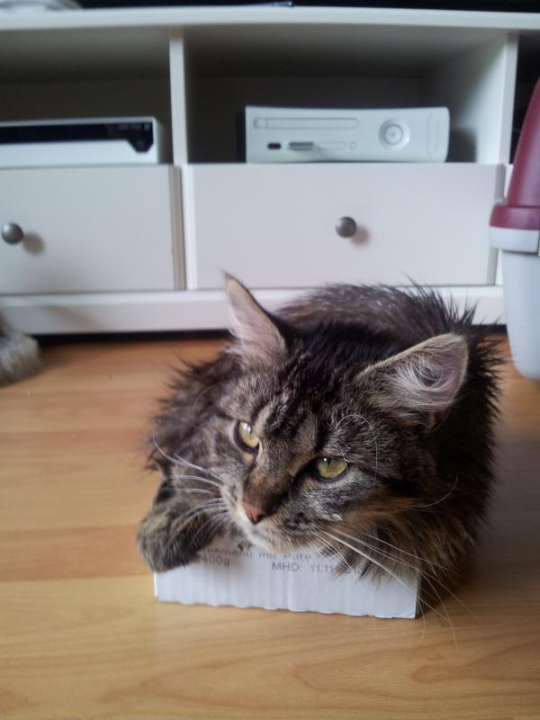 Platz ist im kleinsten Karton!