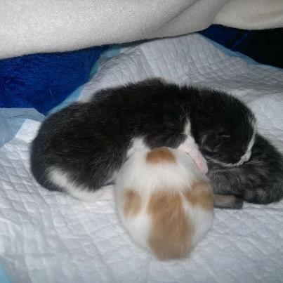 Popo-Ansicht ... ich verstecke mich =)