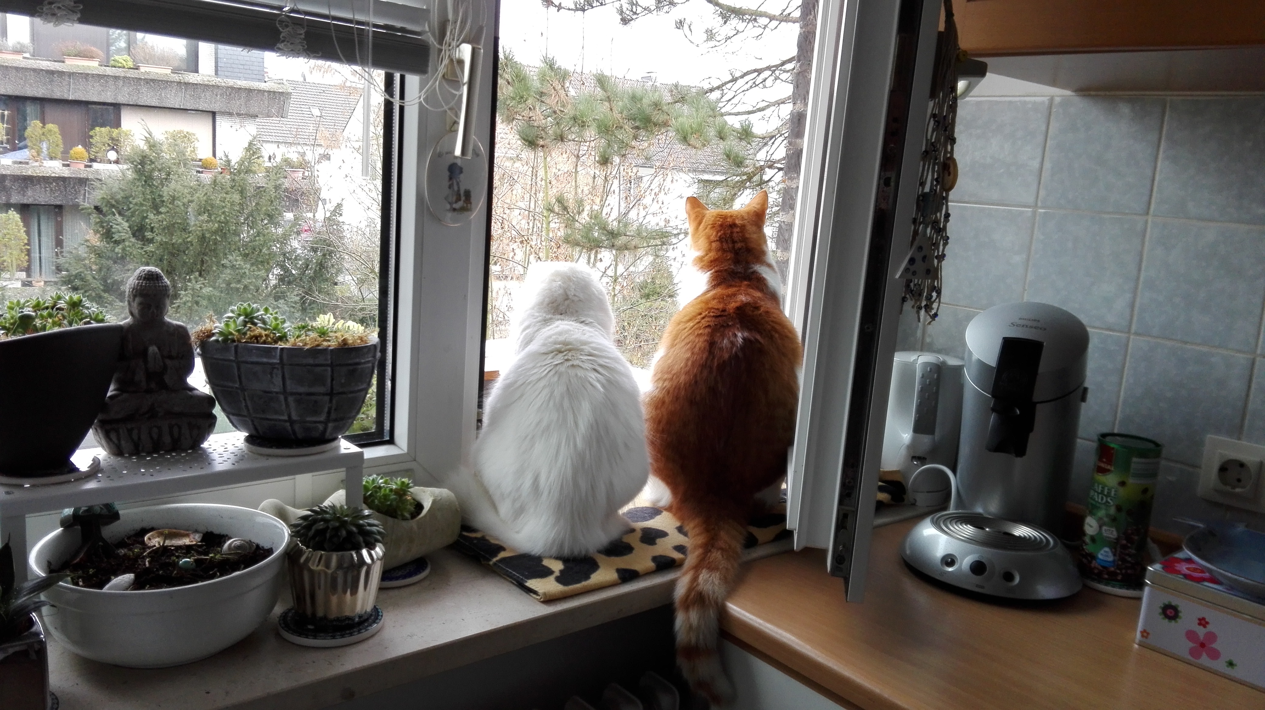 Popo im Warmen und trotzdem alles im Blick