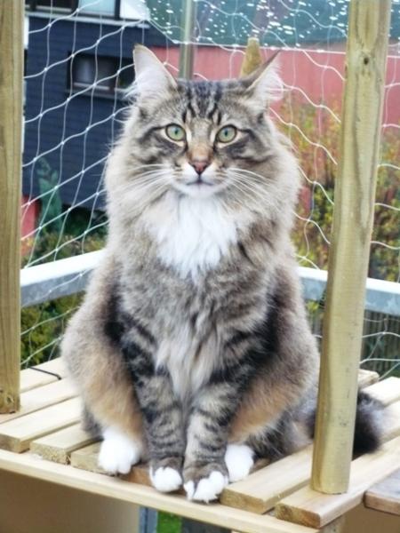 Pori, am Liebsten draußen!!!