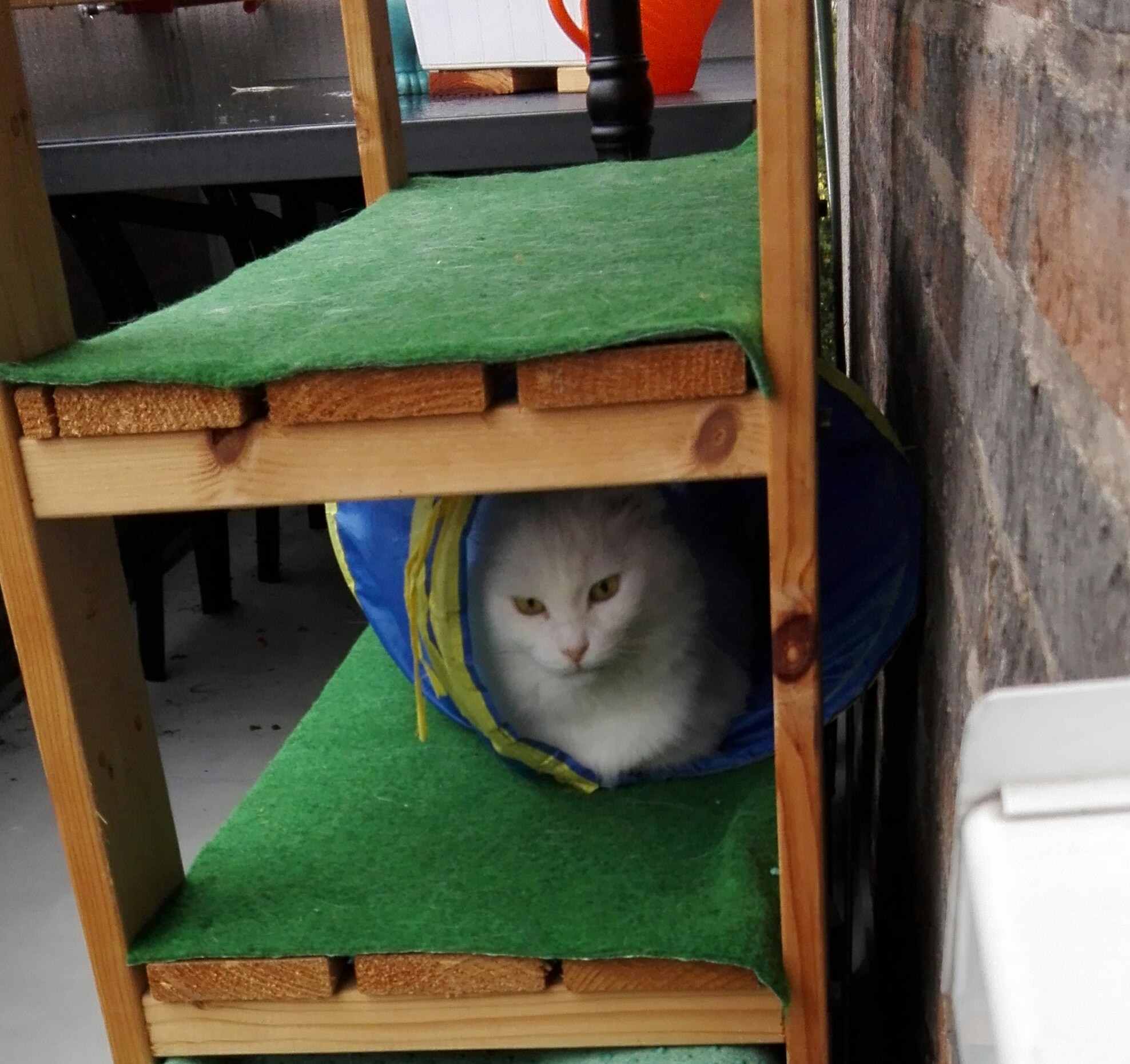 Prenses im Rascheltunnel