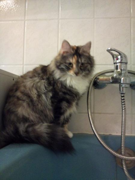 Püppi muss immer beim Baden dabei sein