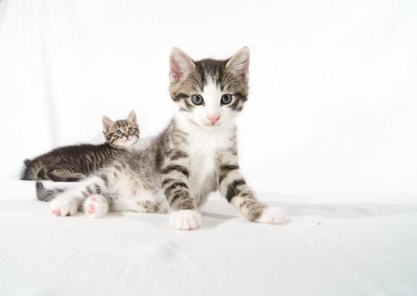 Pullover, Indianer
photographed by Pascal Bovet (http://www.pascalbovet.com/)