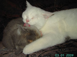 Putzen ist ganz wichtig.