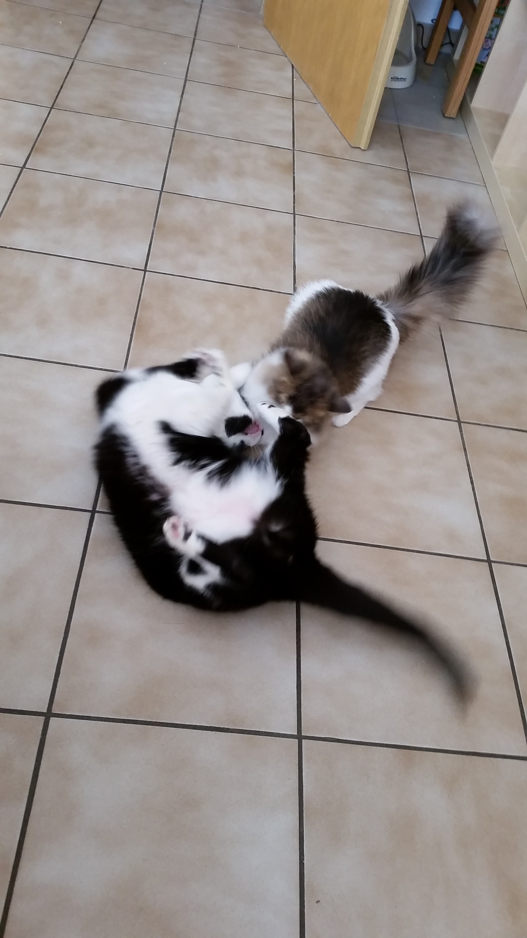 " von wegen Chef, ich zeig dir mal wo der Hammer hängt "