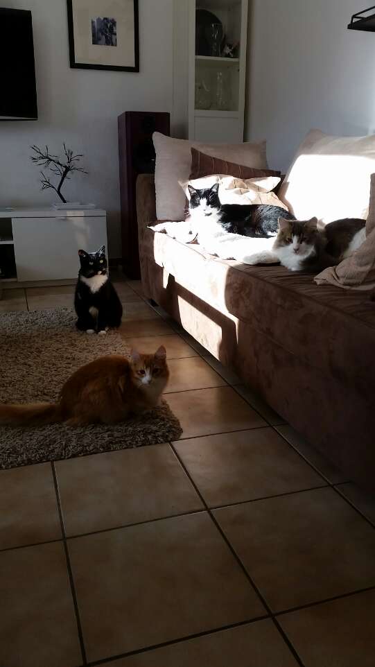 " Wetten, keiner von unseren Menschen merkt,dass wir was planen ?"