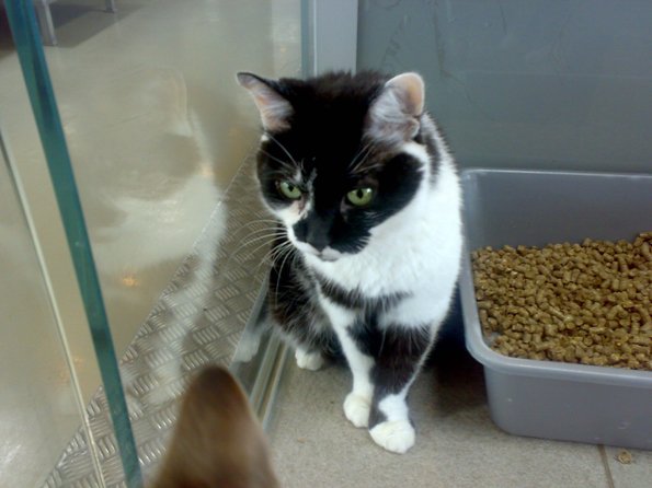 Rabauke: Wann komm ich endlich aus dem Heim :-)