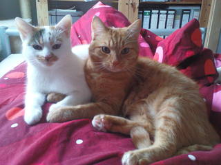 rayn und ramira in poserstellung