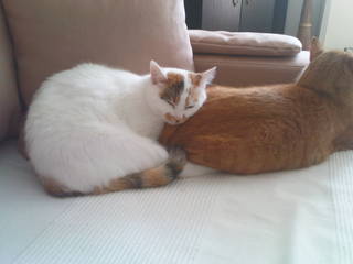 rayn und ramira kuscheln