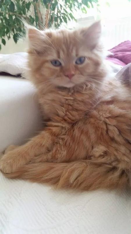 received m mid 1405602697231 b4fdb54977b8f5ab50 0