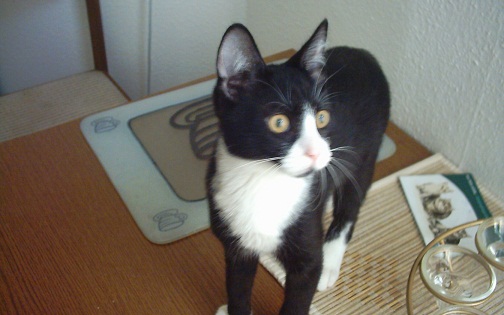 Rubydu-Baby mit ca. 6 monaten :)