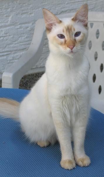 Sandy meine kleine Elfe