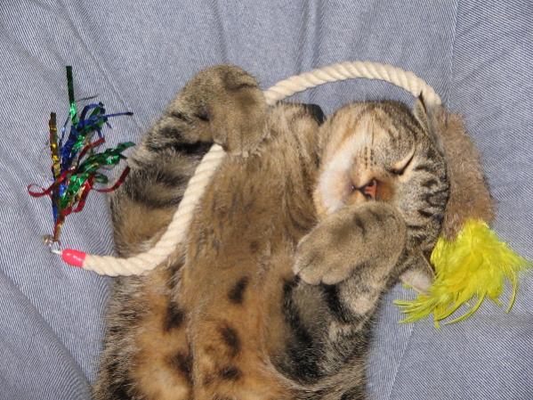 Schlaf der Gerechten.