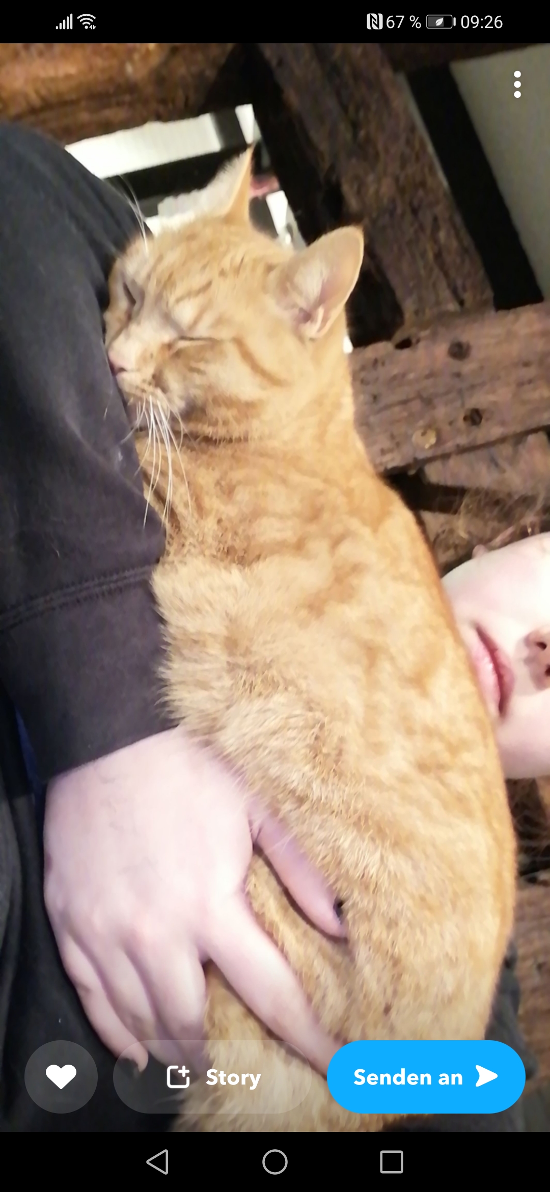 Schlafmütze Ohneschwanz