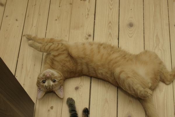 schön aufm Boden...