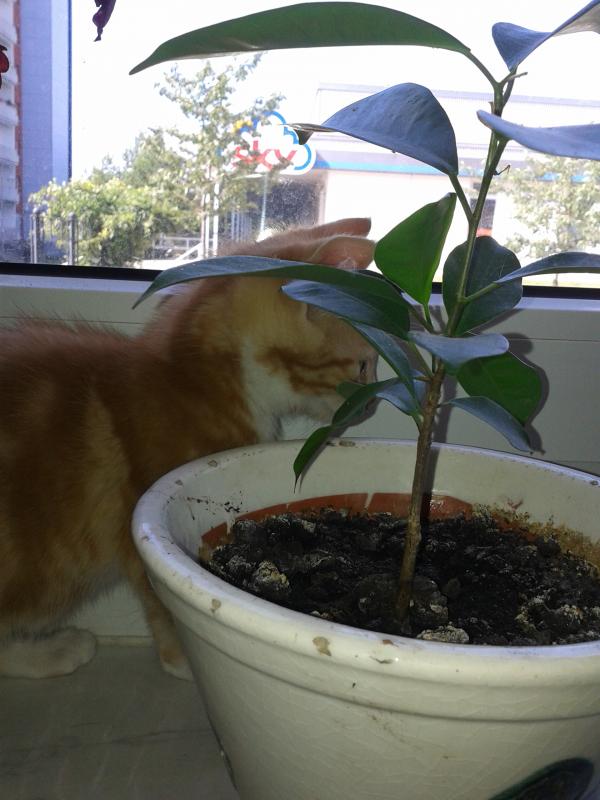 Sein ersten von Foto was ich von ihm habe