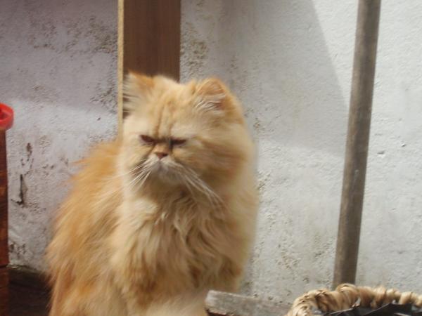 Seine Eminenz :Arthur