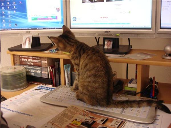 Sie interessiert sich für Computer. :)