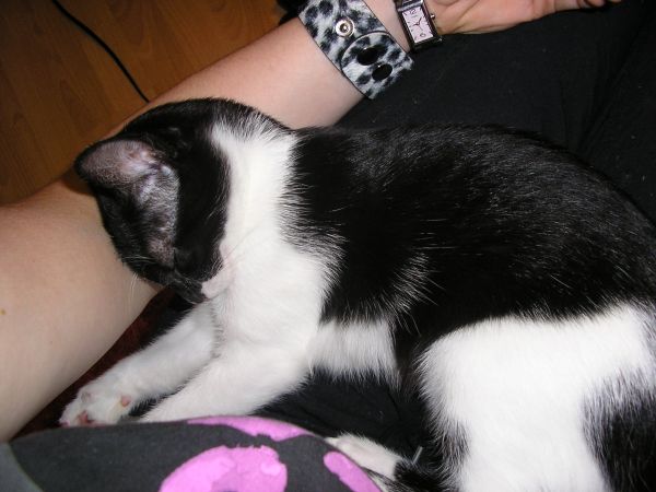 ...sie ist eben eine Kuschelmaus