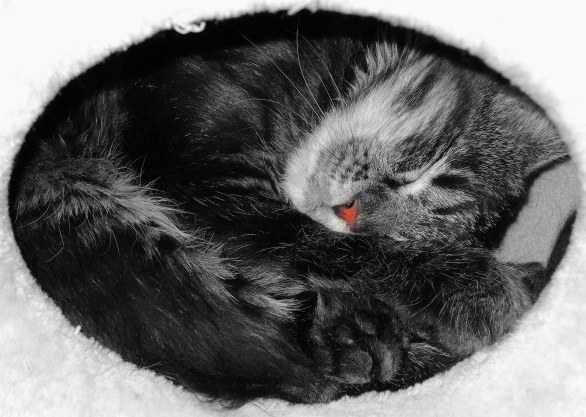 sie passt noch rein:-)