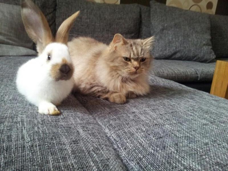 Sie sind jetzt schon ein Dreamteam.