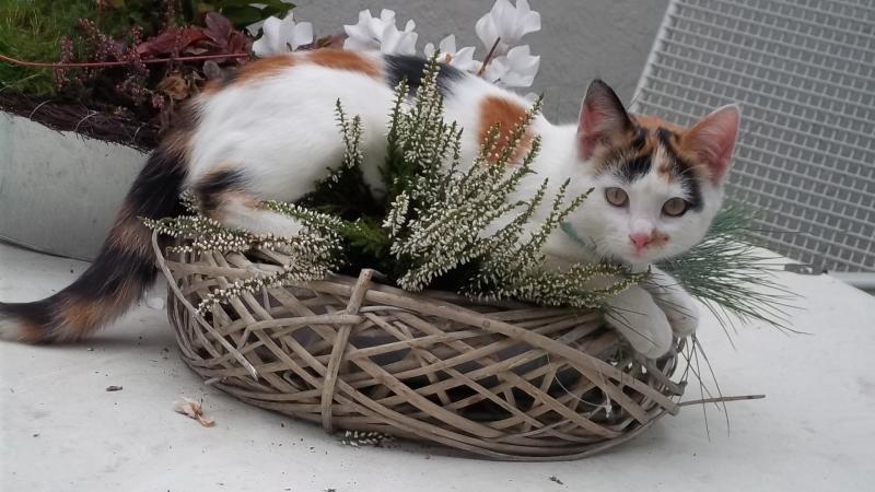 Sieht doch Klasse aus.