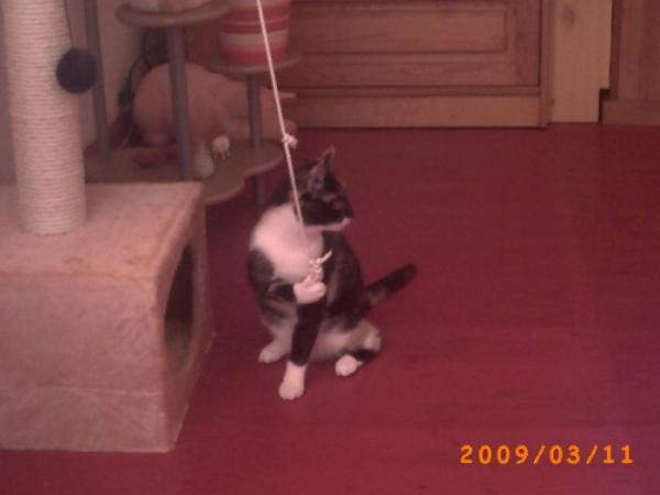 Silly spielt doch gerade...