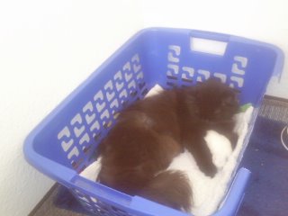 sind se nicht süß die beiden