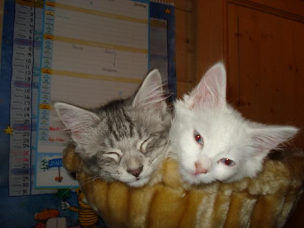 sind wir nicht süüüüß????