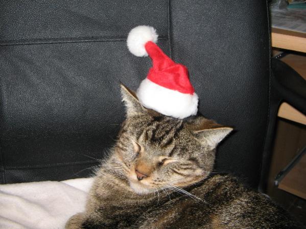 *sing* Wir wünschen frohe Weihnacht...