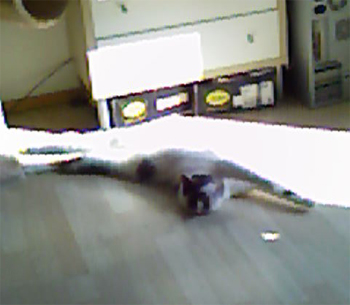 Sinus - so liegt es sich bequem