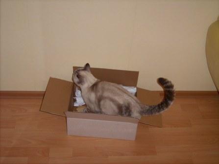 So ein Karton ist doch was feines