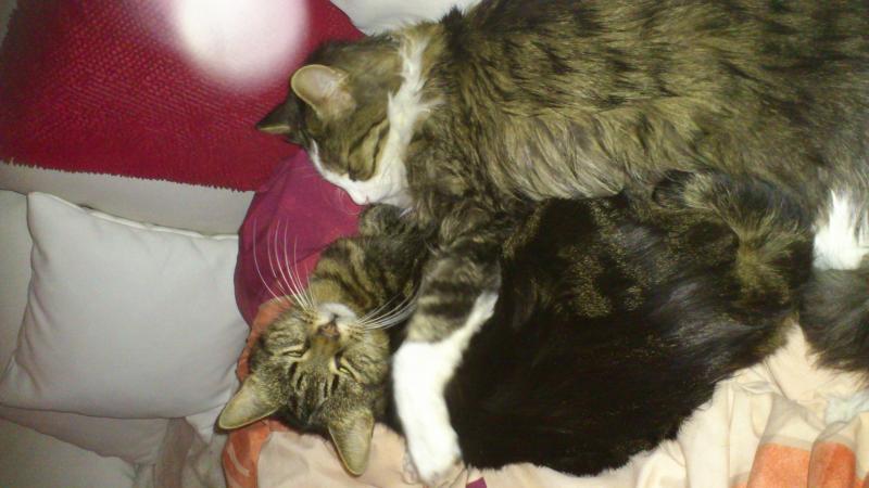 so en Mist...erwischt