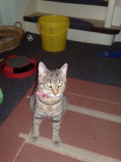 So groß ist mein kleines Bärchen geworden! (7 Monate alt)