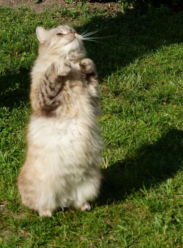 So her mit dem Leckerchen.