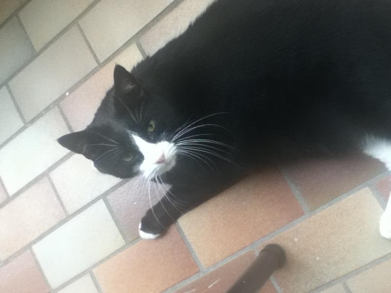 so ich bin Fips und forder grad meine Krabbeleinheit -)