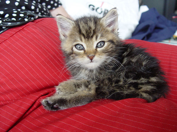 So kam er zu uns...klein und unschuldig